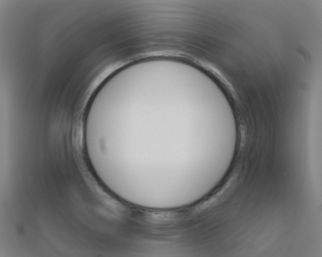 X0000112431274200908141103