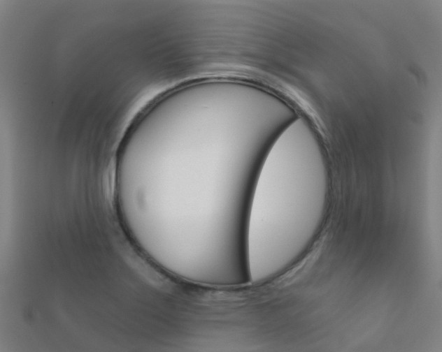 X0000112431275200908141103