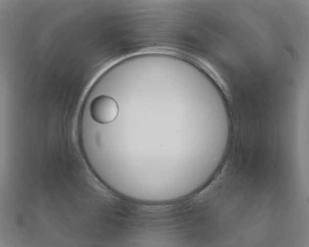 X0000112431276200908141103