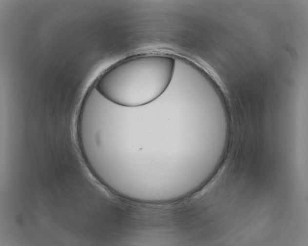 X0000112431277200908141103