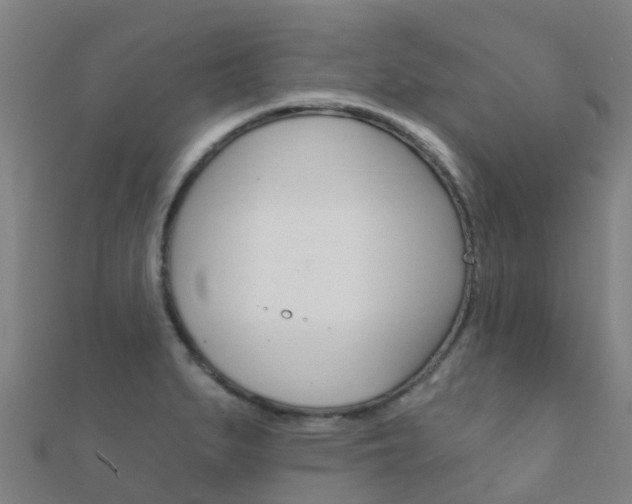 X0000112431279200908141103