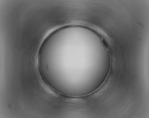 X0000112431280200908141103