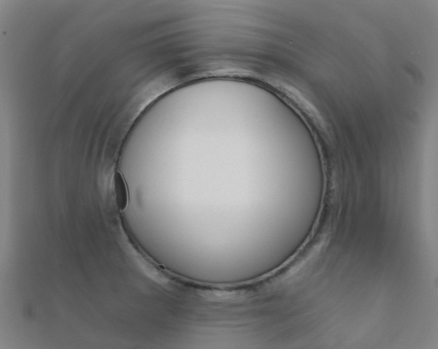 X0000112431281200908141103