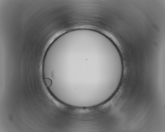X0000112431282200908141103