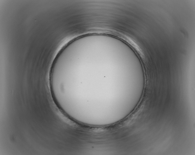X0000112431283200908141103