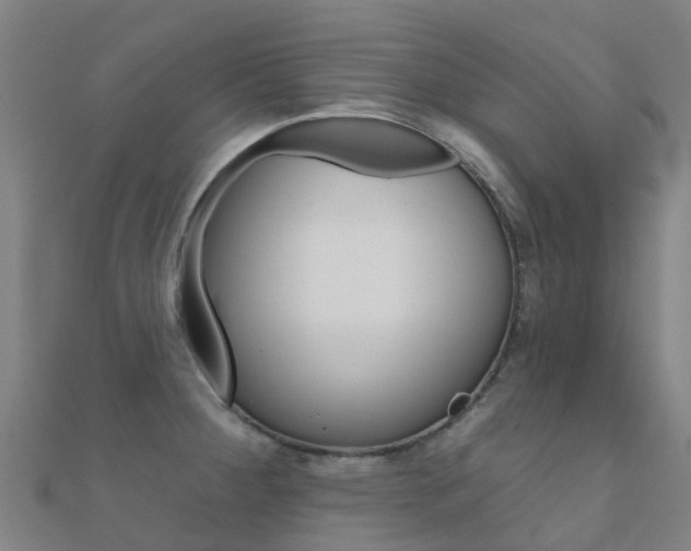 X0000112431284200908141103