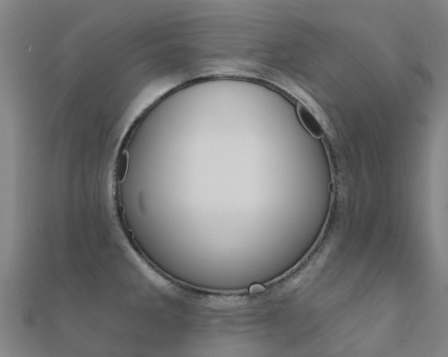 X0000112431285200908141103