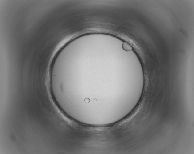 X0000112431286200908141103