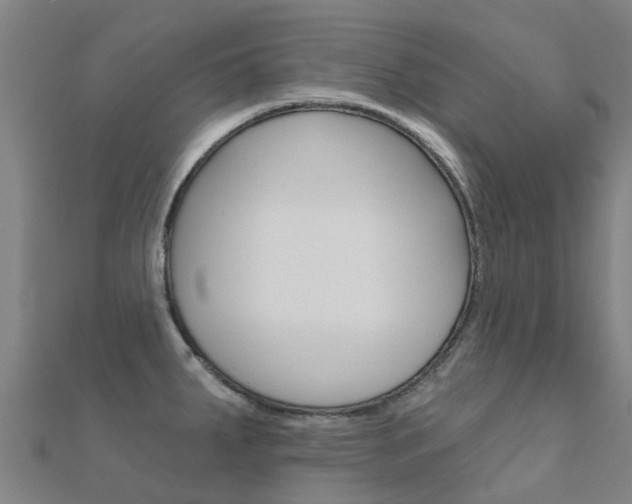 X0000112431287200908141103