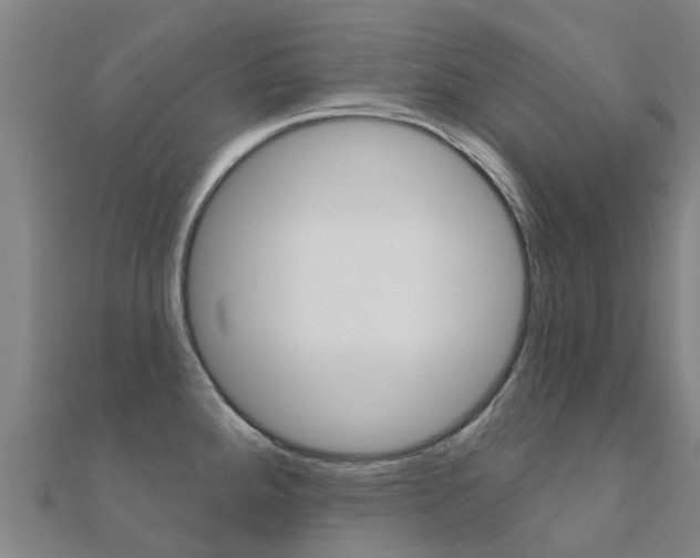 X0000112431288200908141103