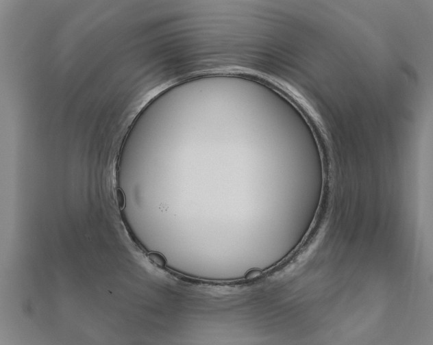 X0000112431289200908141103