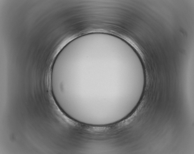 X0000112431290200908141103