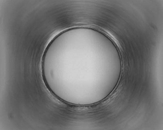 X0000112431291200908141103