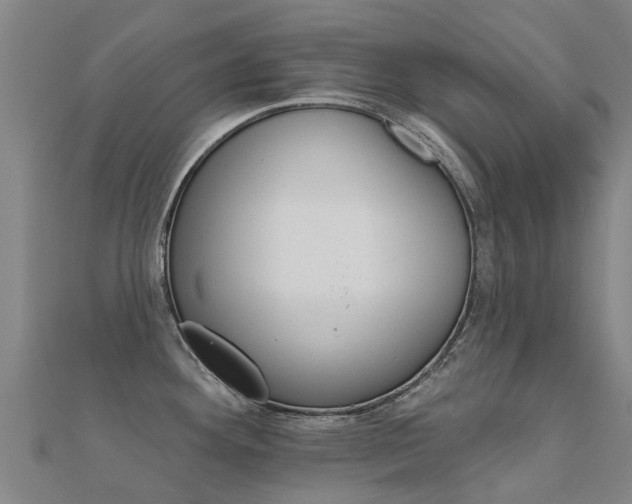 X0000112431292200908141103