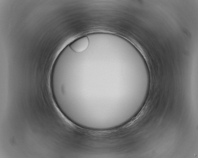 X0000112431293200908141103