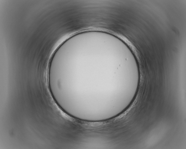 X0000112431294200908141103