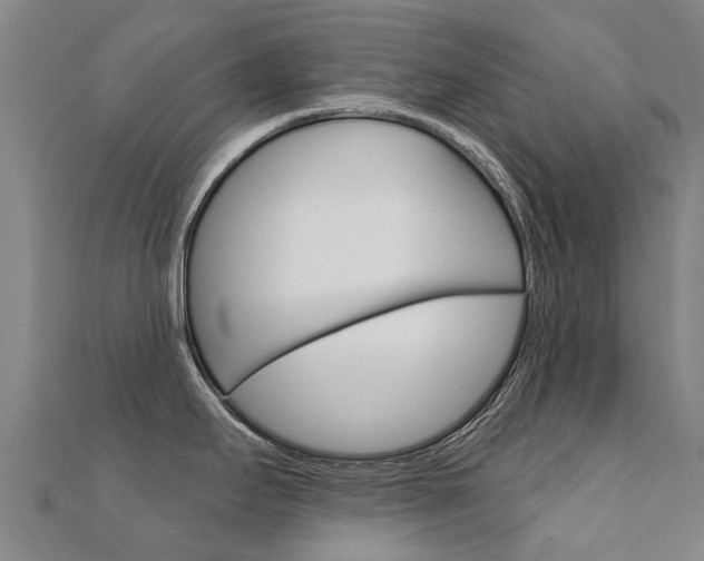 X0000112431295200908141103