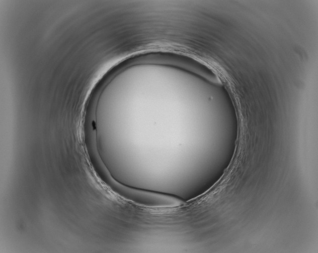 X0000112431296200908141103