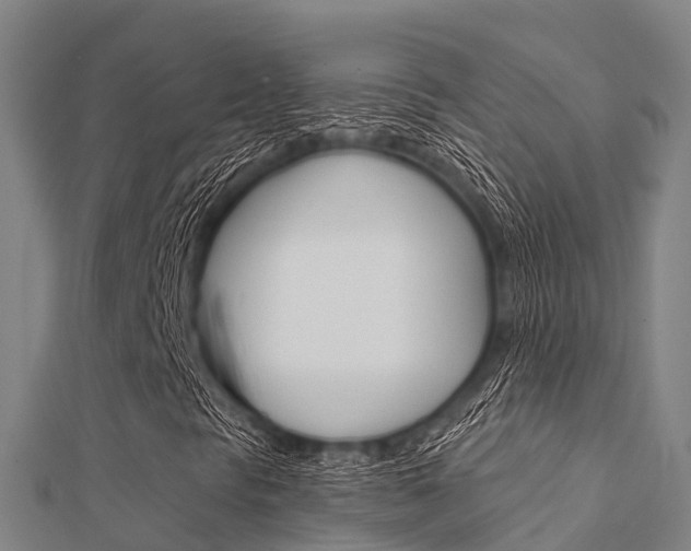 X0000112431297200908141102