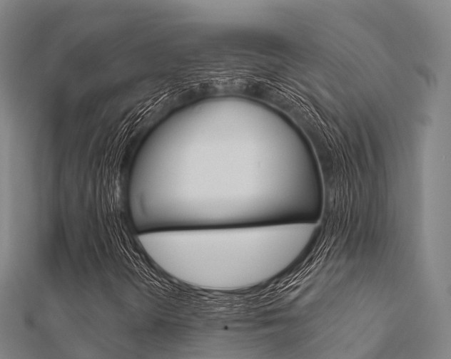 X0000112431298200908141102