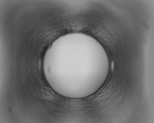 X0000112431299200908141102