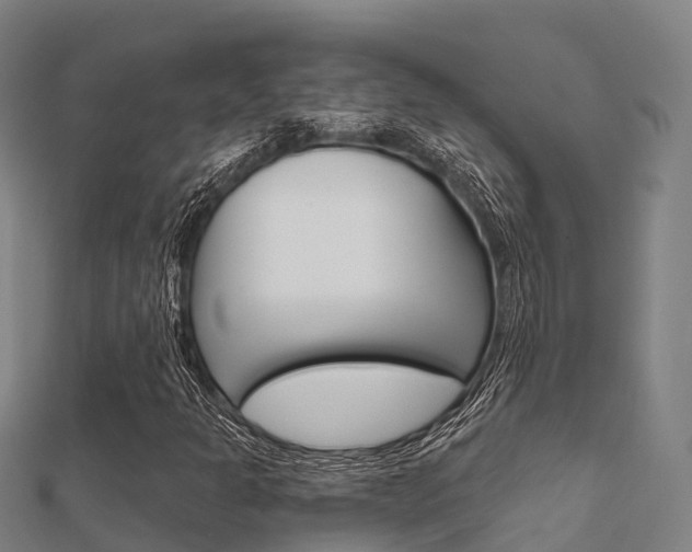 X0000112431301200908141102