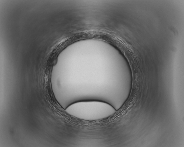 X0000112431302200908141102
