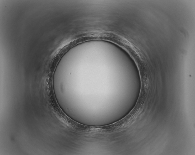 X0000112431304200908141102