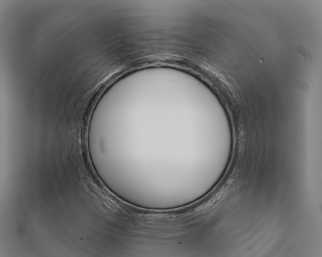 X0000112431305200908141102