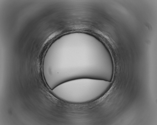 X0000112431306200908141102