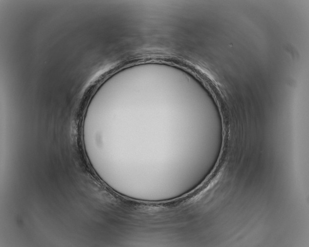 X0000112431309200908141102