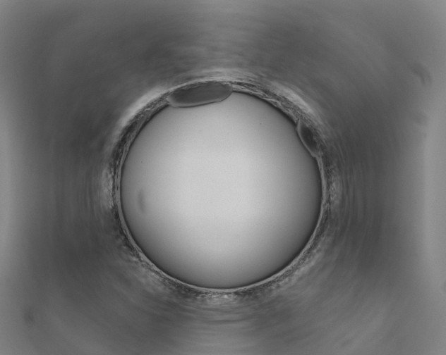 X0000112431310200908141102