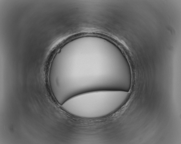 X0000112431311200908141102