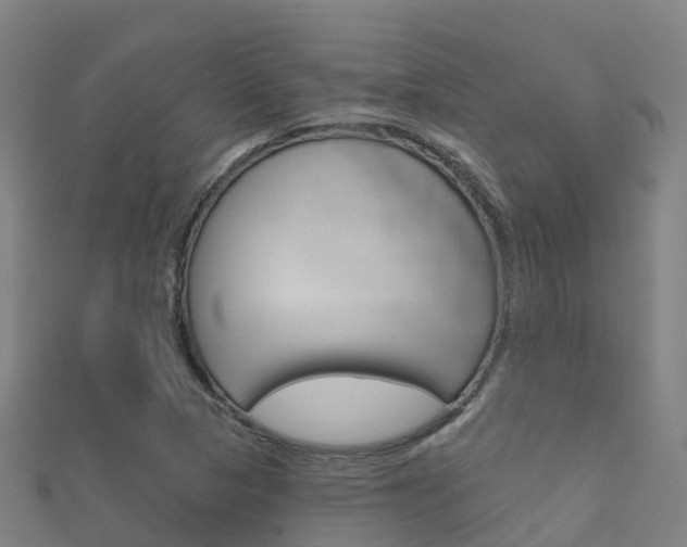 X0000112431313200908141102