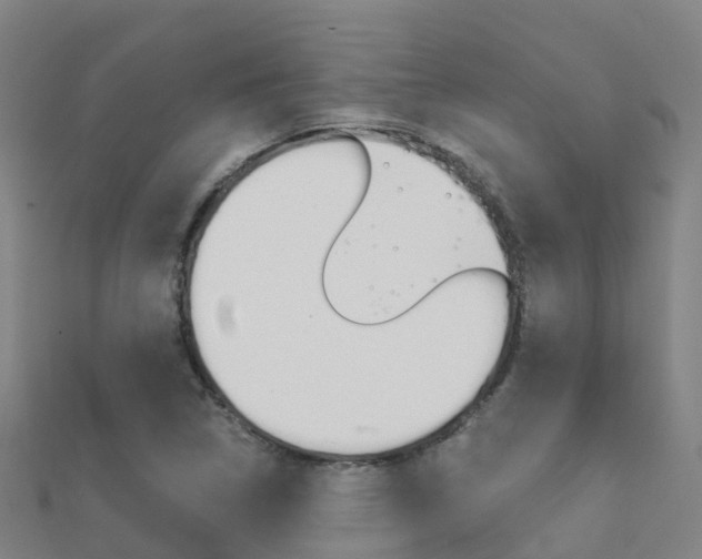 X0000112431314200908141102