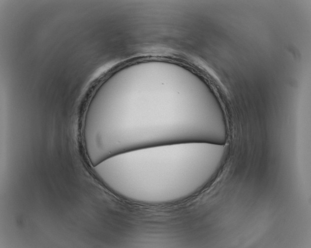 X0000112431315200908141102
