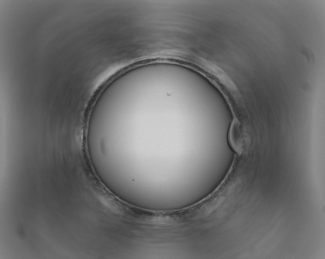 X0000112431316200908141102