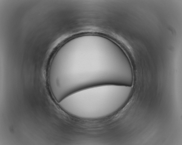 X0000112431318200908141102