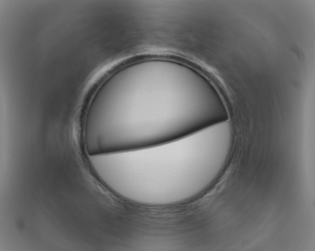 X0000112431319200908141102