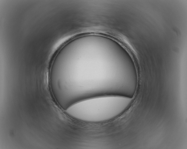 X0000112431320200908141102