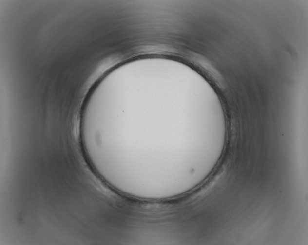 X0000112431322200908141102