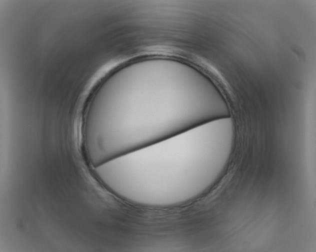 X0000112431323200908141102