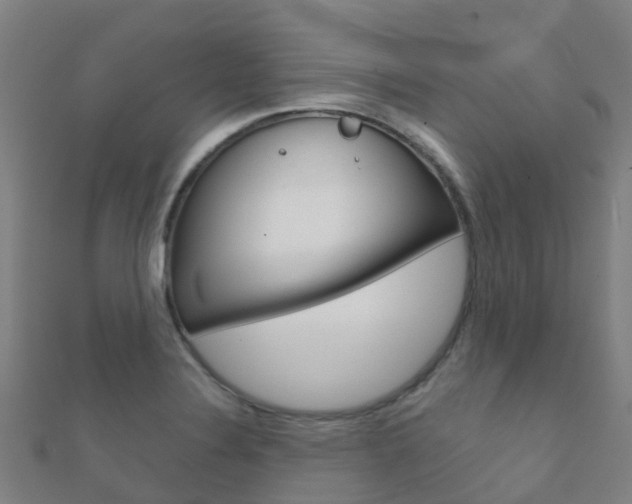 X0000112431324200908141102