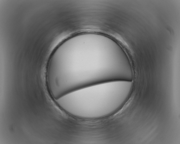 X0000112431325200908141102