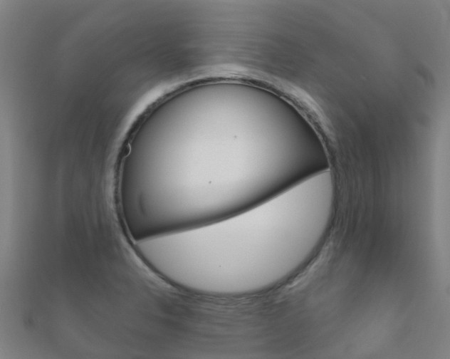 X0000112431326200908141103