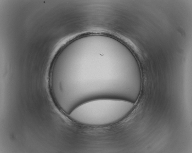 X0000112431327200908141103