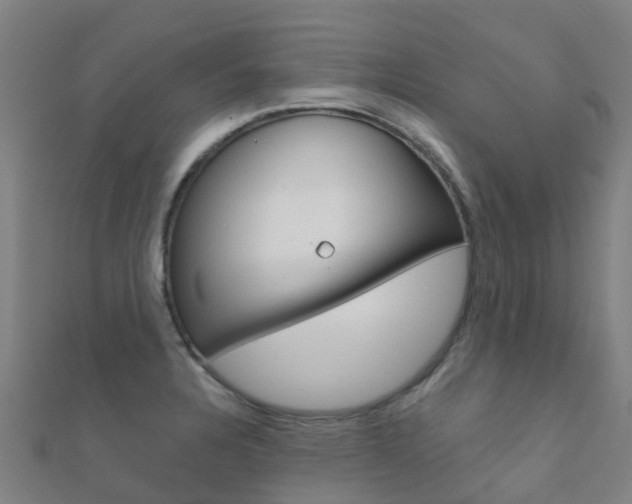 X0000112431328200908141103