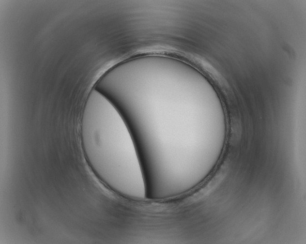 X0000112431329200908141103
