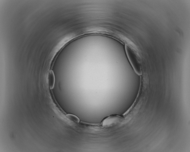 X0000112431330200908141103