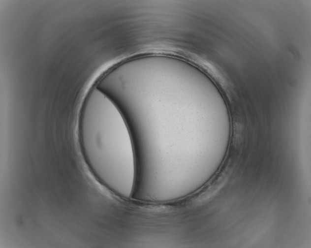 X0000112431331200908141103